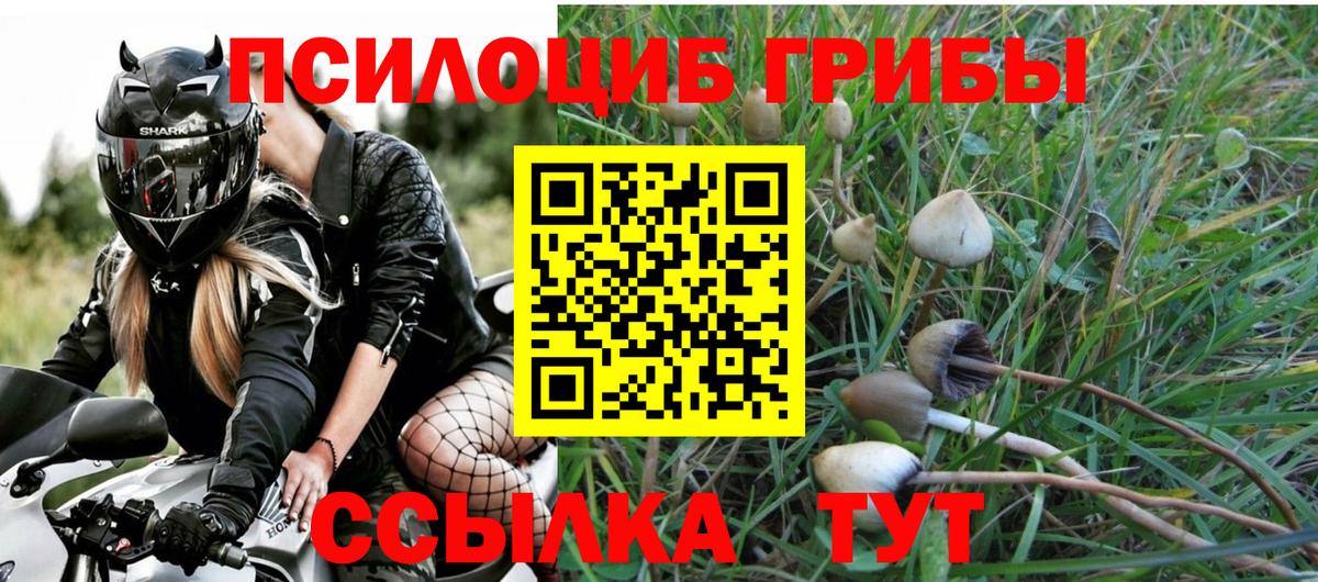 магазин  наркотиков  Вход с VPN  Ишим  Псилоцибиновые грибы Psilocybine cubensis 