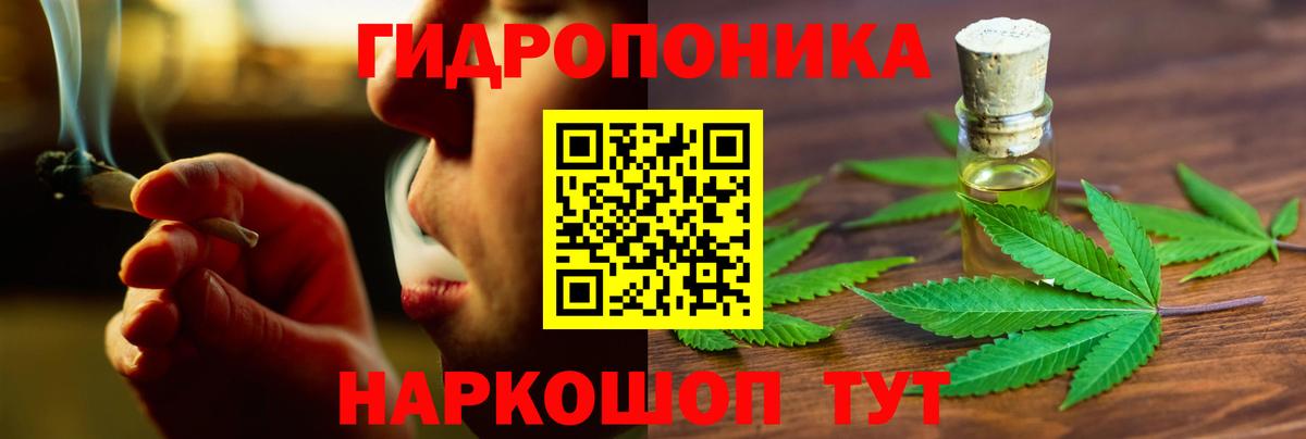 Каннабис OG Kush Ишим